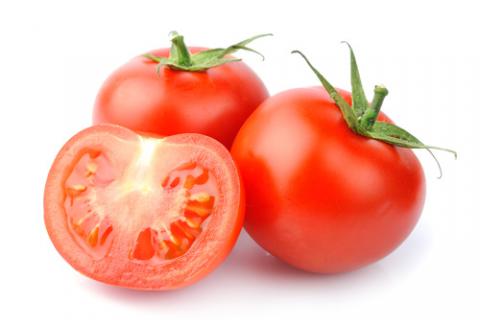 Quieren traer al Congreso mundial tomatero a San Juan en el año 2020 Quieren traer al Congreso mundial tomatero a San Juan en el año 2020