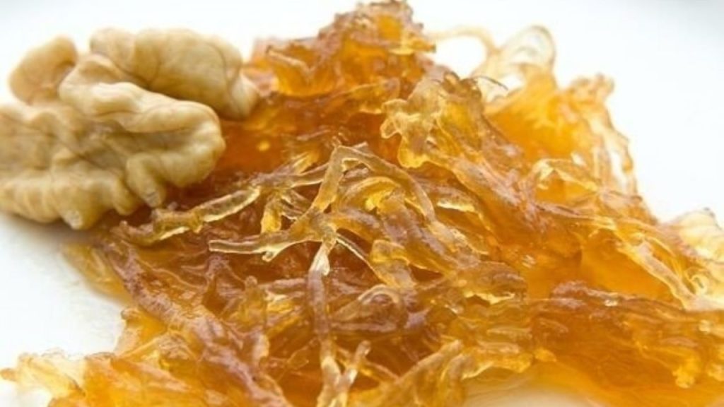 dulce de alcayota una tradición sanjuanina con sabor a hogar