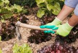 Cinco secretos para diseñar la huerta de otoño