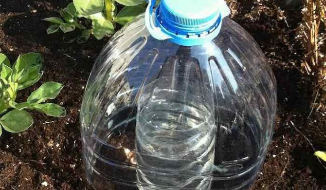Descubre la técnica del goteo solar para ahorrar y filtrar agua en los cultivos Descubre la técnica del goteo solar para ahorrar y filtrar agua en los cultivos