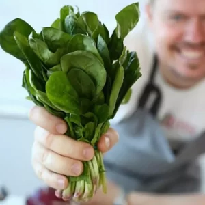 Siembra de semillas de espinacas en argentina