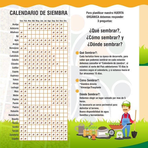 Calendario de Siembra Fecoagro