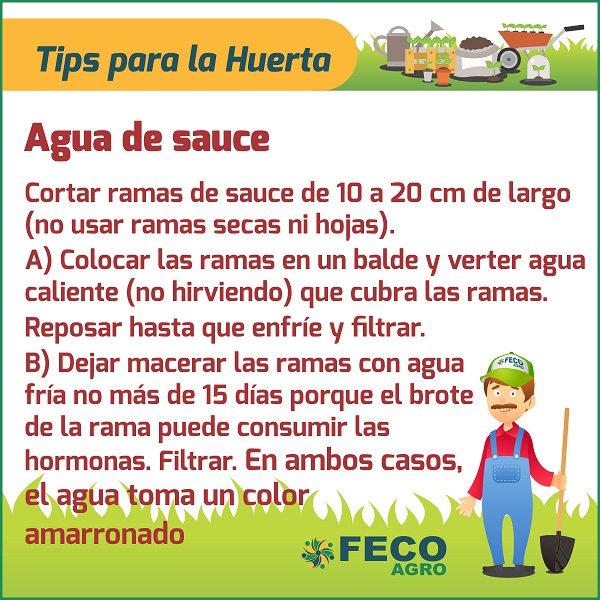 agua de sauce fecoagro