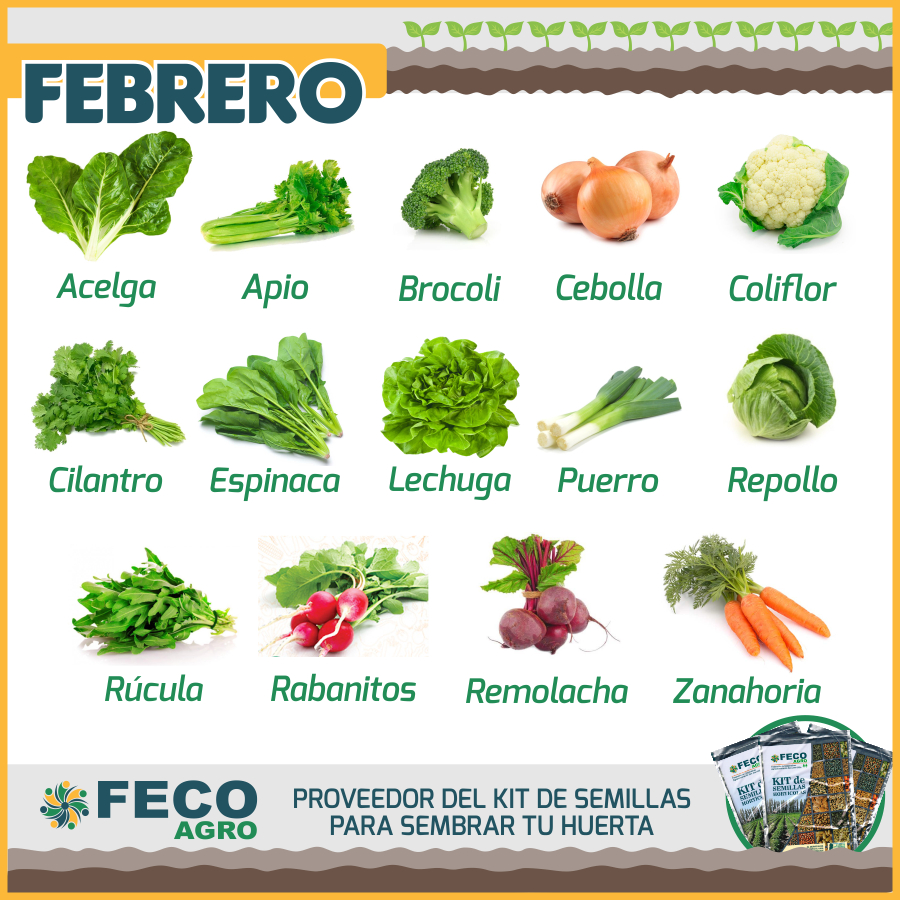 que sembrar en febrero