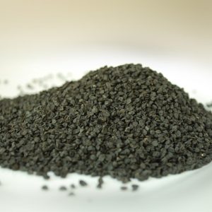 Cebolla Morada INTA (Allium cepa)