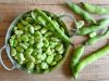 Cómo cultivar habas en macetas y huertos urbanos en el hemisferio sur