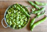 Cómo cultivar habas en macetas y huertos urbanos en el hemisferio sur