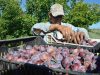 La Mermelada de Ciruela de Fecoagro El Sabor de San Juan en tu mesa