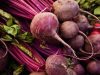 sembrar semillas de remolacha en tu huerta organica fecoagro