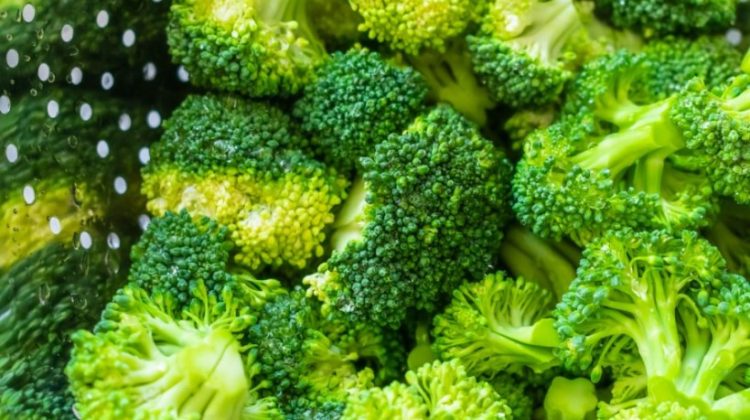 brocoli-como-cultivarlo-caracteisticas-huerta-siembra-semillas