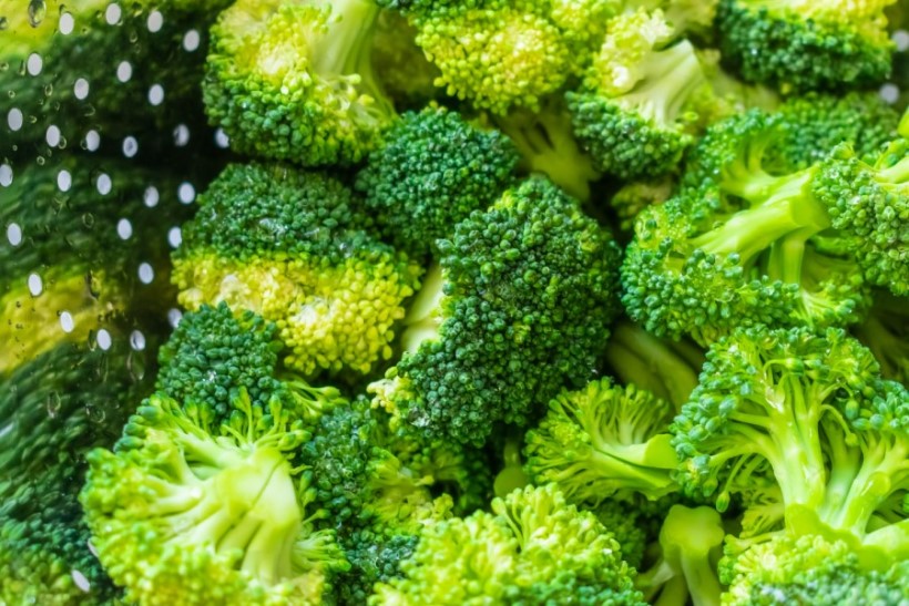 brocoli-como-cultivarlo-caracteisticas-huerta-siembra-semillas