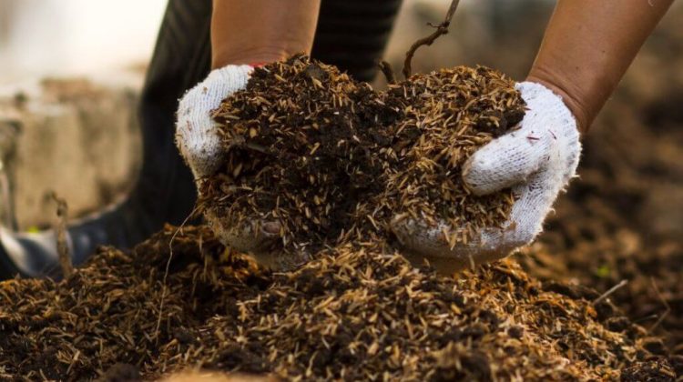 compost lobricompuestos y bocashi la formula en la huerta para mantener un suelo productivo