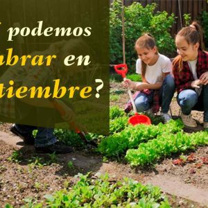 que sembrar en septiembre
